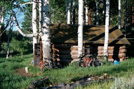 Big Creek Cabin in the morning. Trees, bikes, but too cold for people.